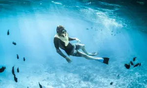 Mężczyzna w masce i płetwach pływa wśród ławicy ryb podczas snorkelingu w Chorwacji.