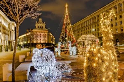 Świąteczne atrakcje Sofii: choinka, renifery i świetlne kule rozświetlają nocne miasto.