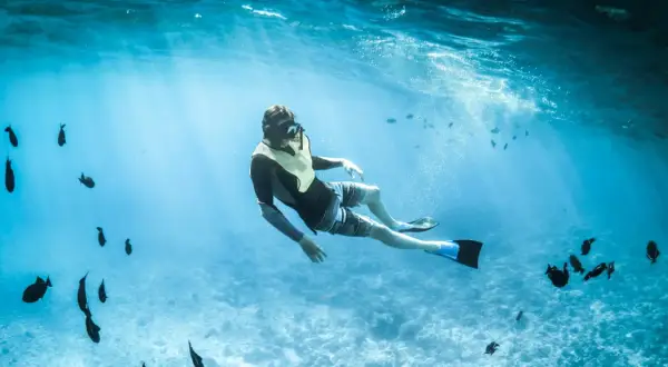 Mężczyzna w masce i płetwach pływa wśród ławicy ryb podczas snorkelingu w Chorwacji.
