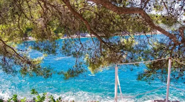 Gałęzie sosny nad turkusowym morzem. Widok z wyspy Korcula na spokojną wodę i skalisty brzeg.