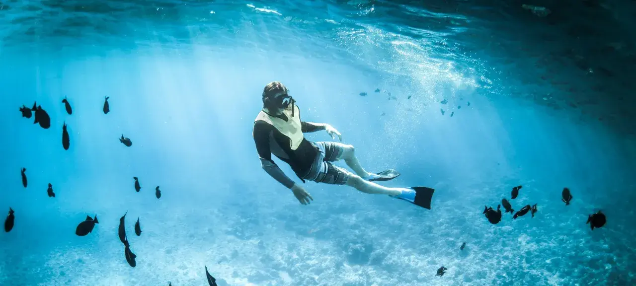 Mężczyzna w masce i płetwach pływa wśród ławicy ryb podczas snorkelingu w Chorwacji.