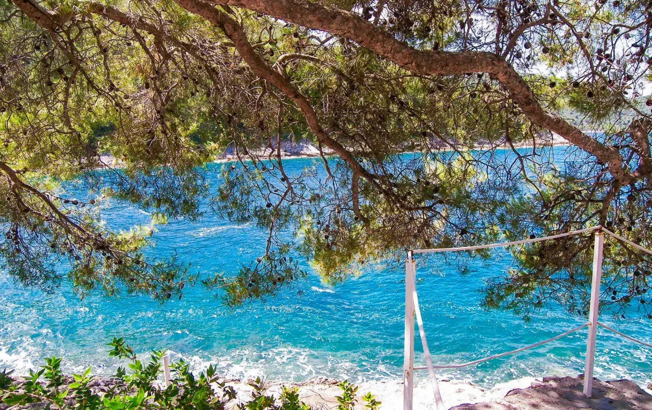 Gałęzie sosny nad turkusowym morzem. Widok z wyspy Korcula na spokojną wodę i skalisty brzeg.