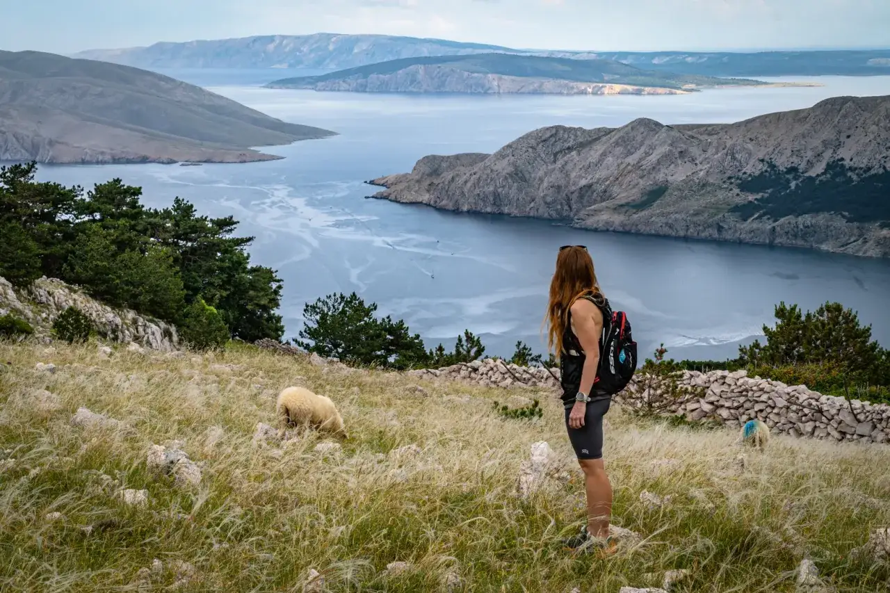 Widok na zatokę z Baški, Chorwacja. Kobieta z plecakiem podziwia krajobraz, owca pasie się na trawie.